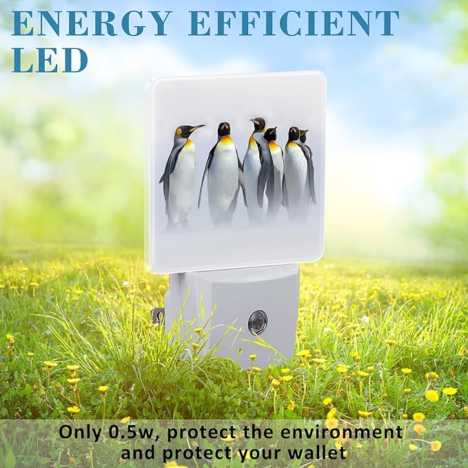 Night Light for Kids Girls Boys, King Penguins in White Habitat LED Night Light Plug into Wall with Dusk to Dawn Sensor for Room Decor, Hallway, Kitchen, Bathroom, Nursery, Stairs