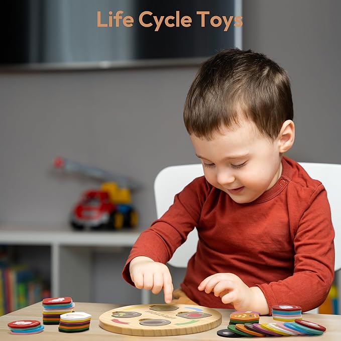 Woodtoe Life Cycle Toys for Kids, 12 Themes Montessori Preschool Science Center Materials, Wooden Learning & Educational Toys for Toddlers, Learning Game Travel Gift STEM Toys for Boys Girls Age 3-6
