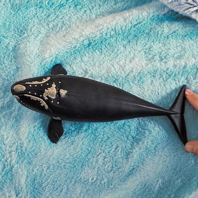 Schleich Wild Life - Large 7.5" Right Whale Toy Figurine. Realistic Hand-Painted Hard Animal Toys for Boys and Girls. Durable, Educational Figure for Imaginative Play. Kids and Toddlers Ages 3+ 14878