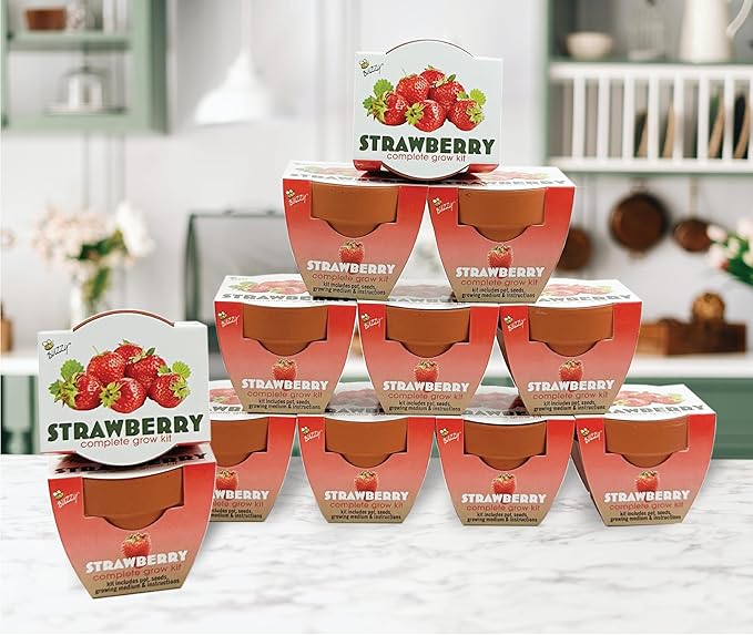 BUZZY Seeds Mini Terracotta Grow Pots | Alpine Strawberry DIY Plant Kit for Kids & Adults | 12-Pack Classic Collection | Indoor and Outdoor Planting, Wedding Favors, Gardening Gift