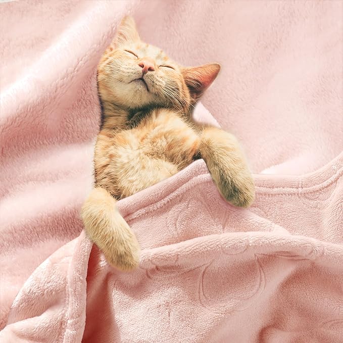 BORITAR Baby Blanket for Girls Ultra Soft Cozy Fleece Baby Blankets, Warm and Lightweight Toddler Blanket with Elegant Floral Printed for Bed Stroller Crib Travel, 30x40 Inch, Pink