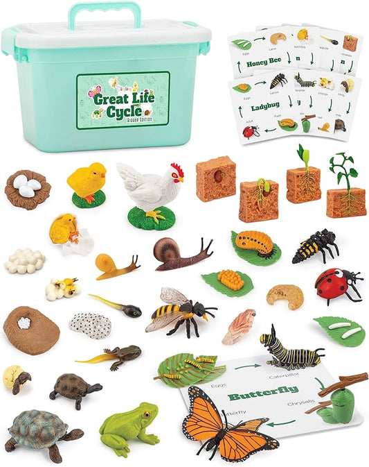 Life Cycle Animal Kit - 32 Piece Montessori Science Toy with Frog, Ladybug, Butterfly, Bee, Chicken, Turtle, Snail & Plant Figurines. Matching Game & STEM Educational Gift for Kids Ages 3–8