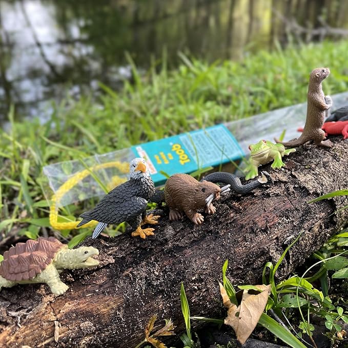 Safari Ltd. River Ecosystem TOOB - Figurines of Bald Eagle, Beaver, Alligator & More - Fun Educational Play Toy for Boys, Girls & Kids Ages 3+