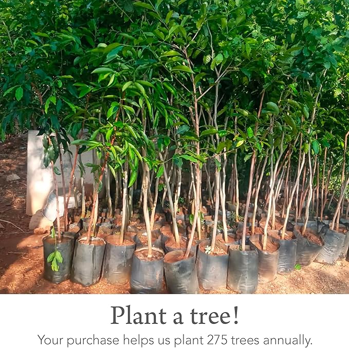 Kishu Baby Indi Organic Baby Bandana Bibs – Fairtrade 4-Way Reversible Drool Bibs for Boys & Girls – Unisex (Set of 5)