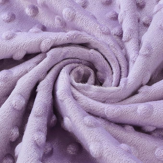 BORITAR Baby Blanket for Girls Soft Plush Minky Fabric, Double Layer Dotted Backing with Elegant Purple Butterfly Pattern Blanket Gift for Toddler Newborn Infant 30 x 40 Inch(75x100cm)