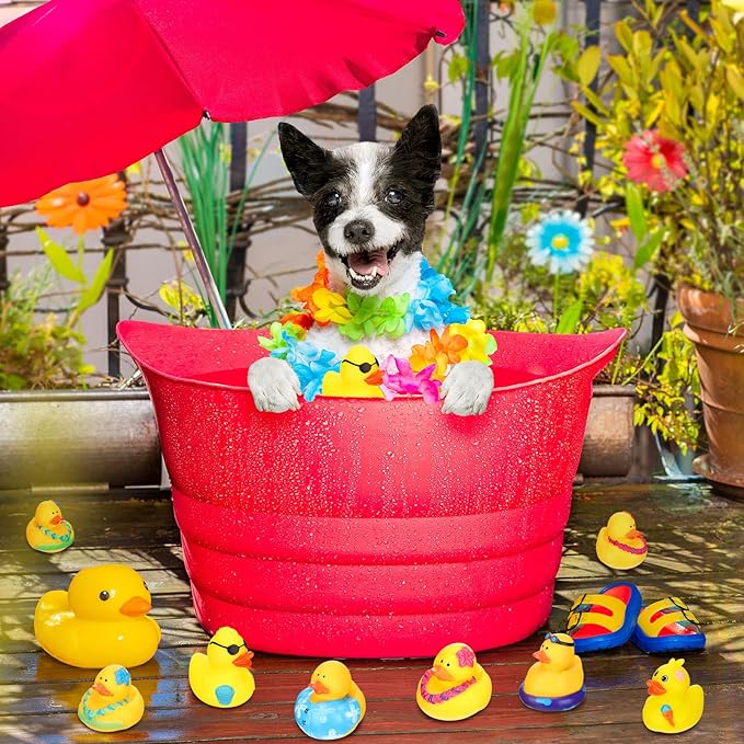 Honoson 36 Pcs Rubber Duck in Bulk Mini Toy Rubber Duck for Bath Birthday Gifts Shower Party Favors Decoration(Pool)