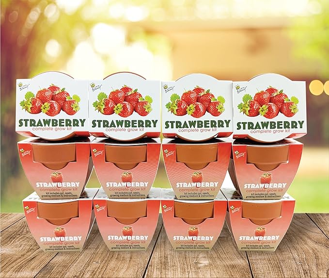 BUZZY Seeds Mini Terracotta Grow Pots | Alpine Strawberry DIY Plant Kit for Kids & Adults | 12-Pack Classic Collection | Indoor and Outdoor Planting, Wedding Favors, Gardening Gift