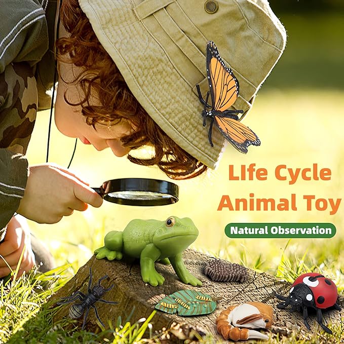 Montessori Life Cycle Animal Figurines Learning & Education Toys, Plastic Insect Life Cycle Toys for Kids, Preschool Learning Activities for Toddlers (Plant Bee Ant)