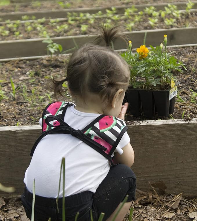 BapronBaby Watermelon Stripes Bapron - No Neck Tie Safer Bib for Baby & Toddler - Soft Waterproof Stain Resistant - Machine Washable - Sz Preschool 3-5yrs