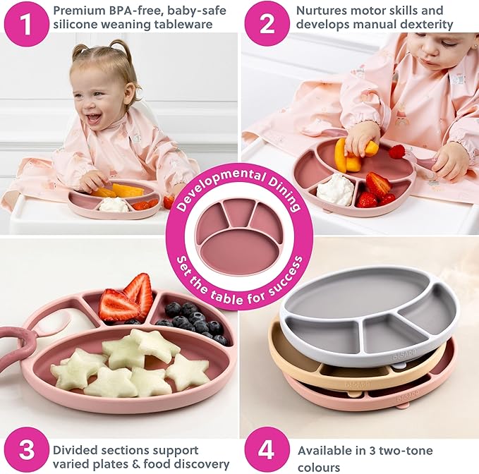 BIBaDO - Silicone Suction Divider Plate (Blush) - Toddler Plates - Help Develop Motor Skills - Durable, Dishwasher & Microwave Safe, BPA Free - Medical Grade - Baby Essentials - 6 Months to 3 Years