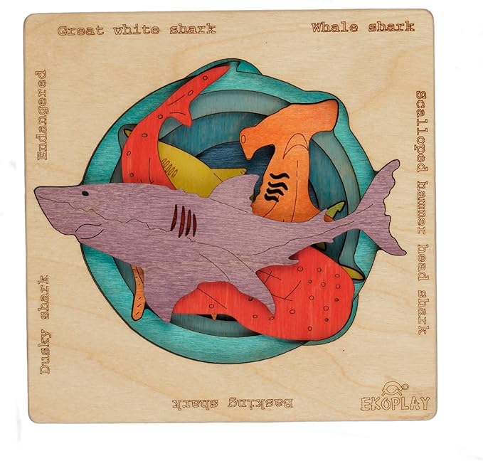 Endangered Sharks | Multilayered Wooden Jigsaw Puzzles for Kids | Hammerhead, Great White, Whale, Dusky, Basking | Learning Toy & Gift for Boys Girls Ages 3 Years and Above