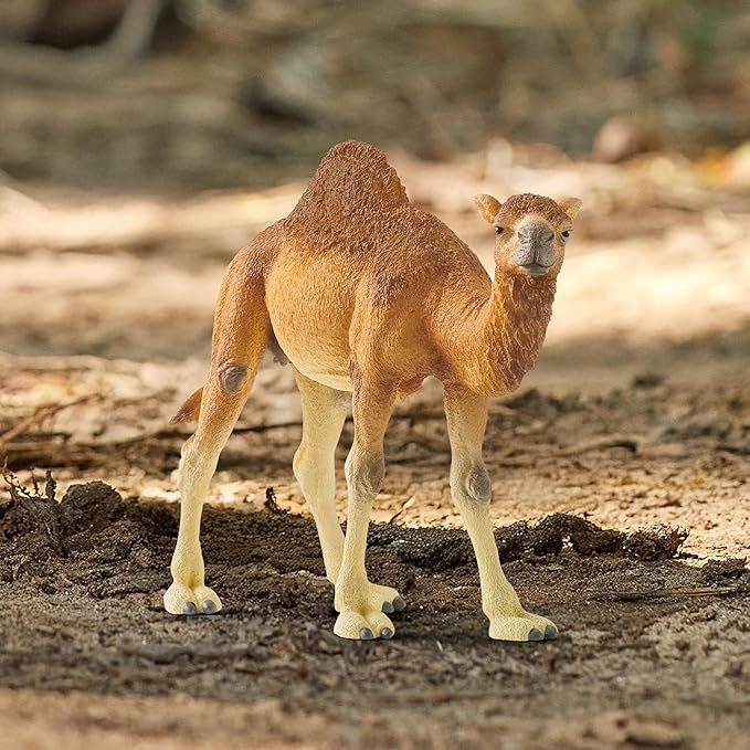 Schleich Wild Life Realistic Dromedary Camel Figurine - Authentic and Highly Detailed Wild Animal Toy, Durable for Education and Fun Play, Perfect for Boys and Girls, Ages 3+, Multicolor, 3.9 inch