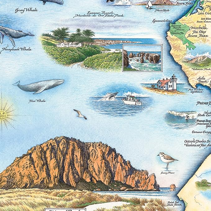 Central California Coast State Map Cardboard Jigsaw Puzzle - 1000 Pieces, Hand-Illustrated - Educational, Family Activity, Ages 7+, Includes Poster - 25.4 x 19.8