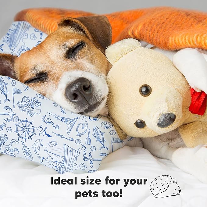 Toddler Pillow with Pillowcase - 13x18 My Little Dreamy Kids Travel Bed Pillows for Sleeping, Organic Cotton Small Pillowcase, Soft & Breathable, Machine Washable, Toddlers 2-5 Years Old (Nautical)