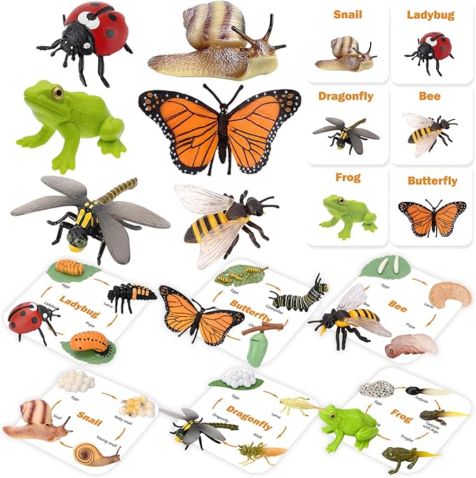 Montessori Animal Life Cycle Figurines, Plastic Miniature Educational Toys, 6 Count, Ages 3+