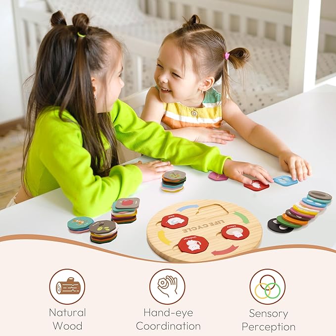 Woodtoe Life Cycle Toys for Kids, 12 Themes Montessori Preschool Science Center Materials, Wooden Learning & Educational Toys for Toddlers, Learning Game Travel Gift STEM Toys for Boys Girls Age 3-6