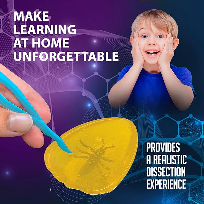 Discover-It Dissection Kit for Kids, Synthetic Amber Science Lab Kit to Learn About Insects, Science Toys for Kids Ages 5 and Above