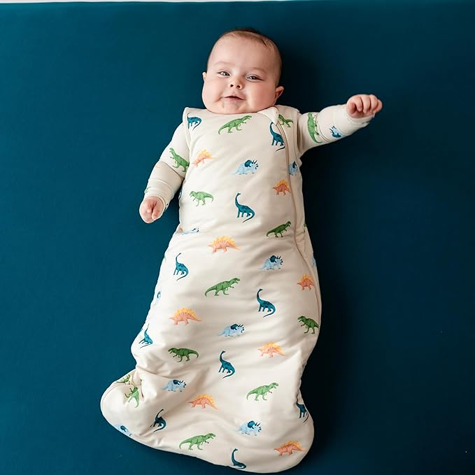 KYTE BABY Unisex Rayon Sleeping Bag for Babies and Toddlers, 1.0 Tog