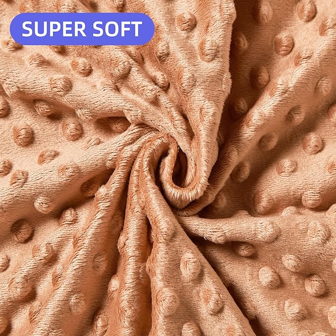 iEvolve Baby Nursery Bed Blankets Ultra Soft Double Layer Mini Blanket Minky Blanket Receiving Blankets Shower Gifts(30"*40",Fox)