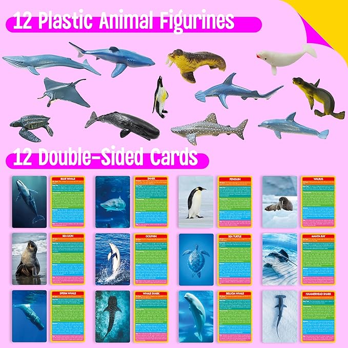 12 PCS Plastic Marine Animal Figurines with 12 Introduction Flashcards, Ocean Animals Learning Recognition Cards Realistic Undersea Animal Figures Educational Learning Toy Set for Kids, Classroom