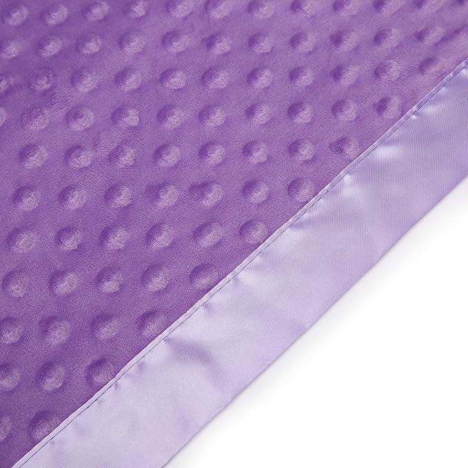 Pro Goleem Baby Soft Minky Dot Blanket with Silky Satin Backing Baby Gifts for Boys and Girls (Purple, 30’’ x 40’’)