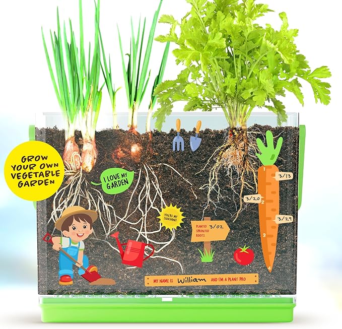 Dan&Darci Root Viewer Kit for Kids - Grow Your Own Plant for Boys & Girls Gifts - Science STEM Toy & Craft Growing Kits for Ages 4-8 Birthday Gifts for Boy, Girl 4, 5, 6, 7, 8, Year Old - Gardening