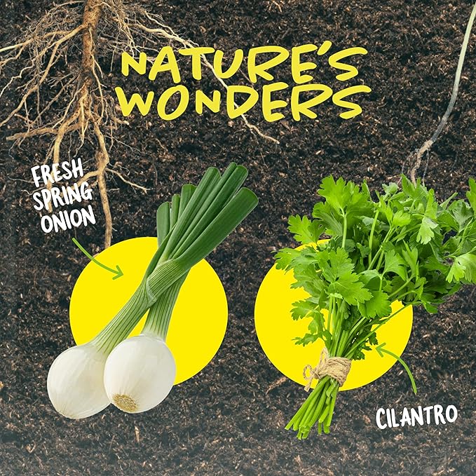 Dan&Darci Root Viewer Kit for Kids - Grow Your Own Plant for Boys & Girls Gifts - Science STEM Toy & Craft Growing Kits for Ages 4-8 Birthday Gifts for Boy, Girl 4, 5, 6, 7, 8, Year Old - Gardening