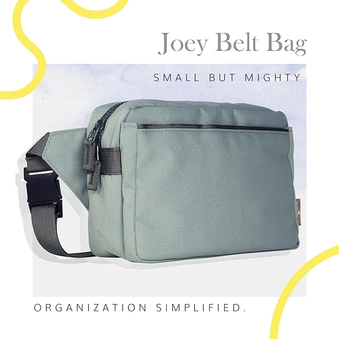 Red Rovr Everyday Joey Belt Bag | Organization & Zipper pockets |Adjustable Strap for All Ages (Sage)