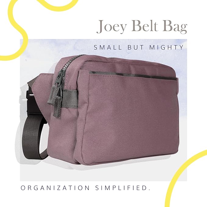 Red Rovr Everyday Joey Belt Bag | Organization & Zipper pockets |Adjustable Strap for All Ages (Mauve)