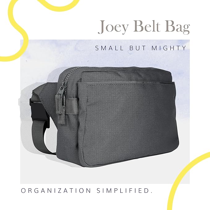 Red Rovr Everyday Joey Belt Bag | Organization & Zipper pockets |Adjustable Strap for All Ages (Charcoal)