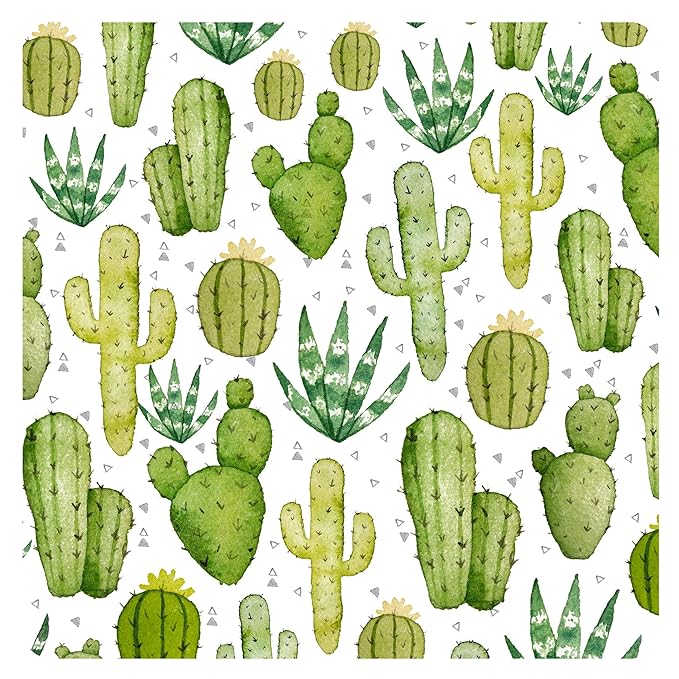 BapronBaby Desert Cactus Bapron - No Neck Tie Safer Bib for Baby & Toddler - Soft Waterproof Stain Resistant - Machine Washable - Sz Baby/Toddler 6m-3T