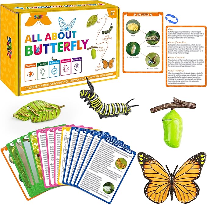 15 Butterfly Life Circle Flashcards with 4 Plastic Figurines, Butterflies Introduction Cards Plastic Insects Egg to Butterfly Kit Toy for Kids, Adults, Animal Lovers