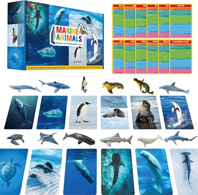 12 PCS Plastic Marine Animal Figurines with 12 Introduction Flashcards, Ocean Animals Learning Recognition Cards Realistic Undersea Animal Figures Educational Learning Toy Set for Kids, Classroom