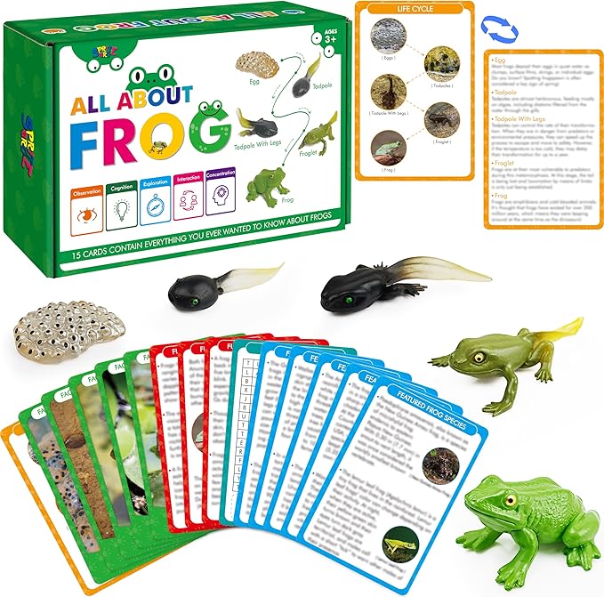 15 Frog Life Circle Flashcards with 5 Plastic Figurines, Frogs Introduction Cards Plastic Insects Tadpole to Frog Kit Toy for Kids, Adults, Animal Lovers