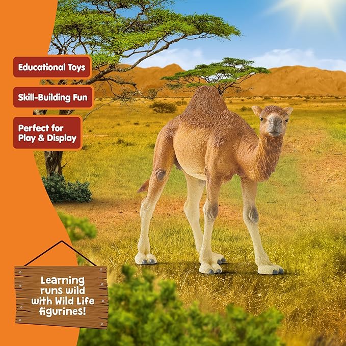 Schleich Wild Life Realistic Dromedary Camel Figurine - Authentic and Highly Detailed Wild Animal Toy, Durable for Education and Fun Play, Perfect for Boys and Girls, Ages 3+, Multicolor, 3.9 inch