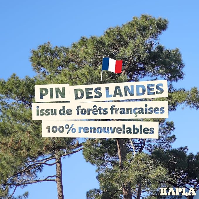 KAPLA Wooden Construction Set - 1000 Building Planks in a Chest - for Ages 3+