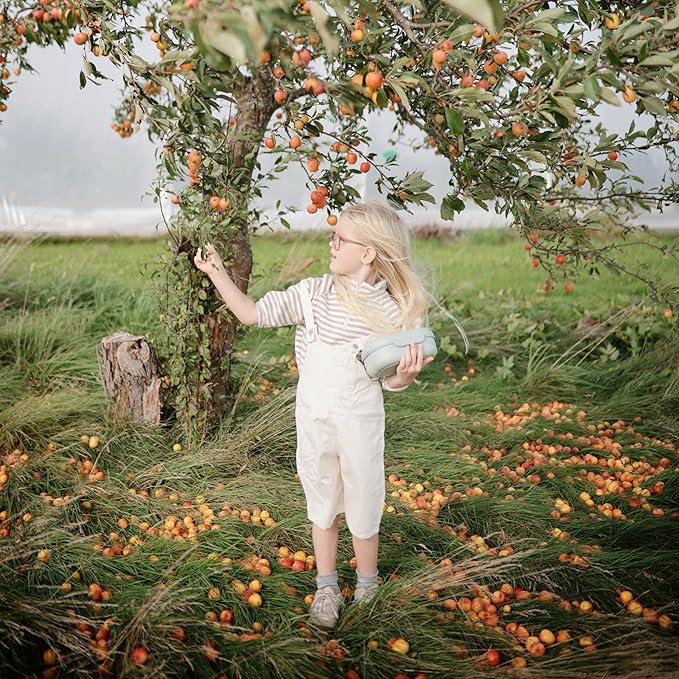 mushie Kids Bento Lunch Box | 3-Compartment & Removable Divider + Fork & Spoon Utensils | Great For Meals, School, Snacks On-the-Go | Dishwasher Safe (Sage)