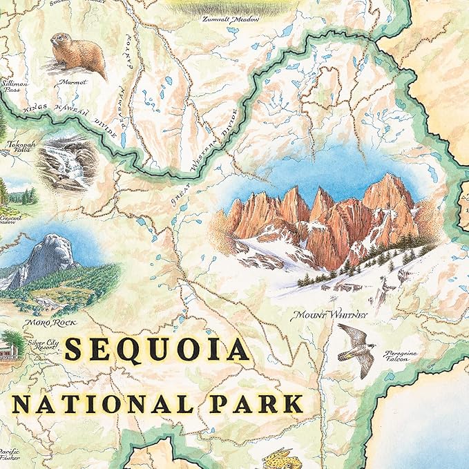 Sequoia and Kings Canyon National Parks Map Cardboard Jigsaw Puzzle - 1000 Pieces, Hand-Illustrated - Educational, Family Activity, Ages 7+, Includes Poster - 25.4 x 19.8