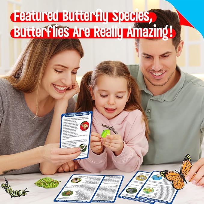 15 Butterfly Life Circle Flashcards with 4 Plastic Figurines, Butterflies Introduction Cards Plastic Insects Egg to Butterfly Kit Toy for Kids, Adults, Animal Lovers